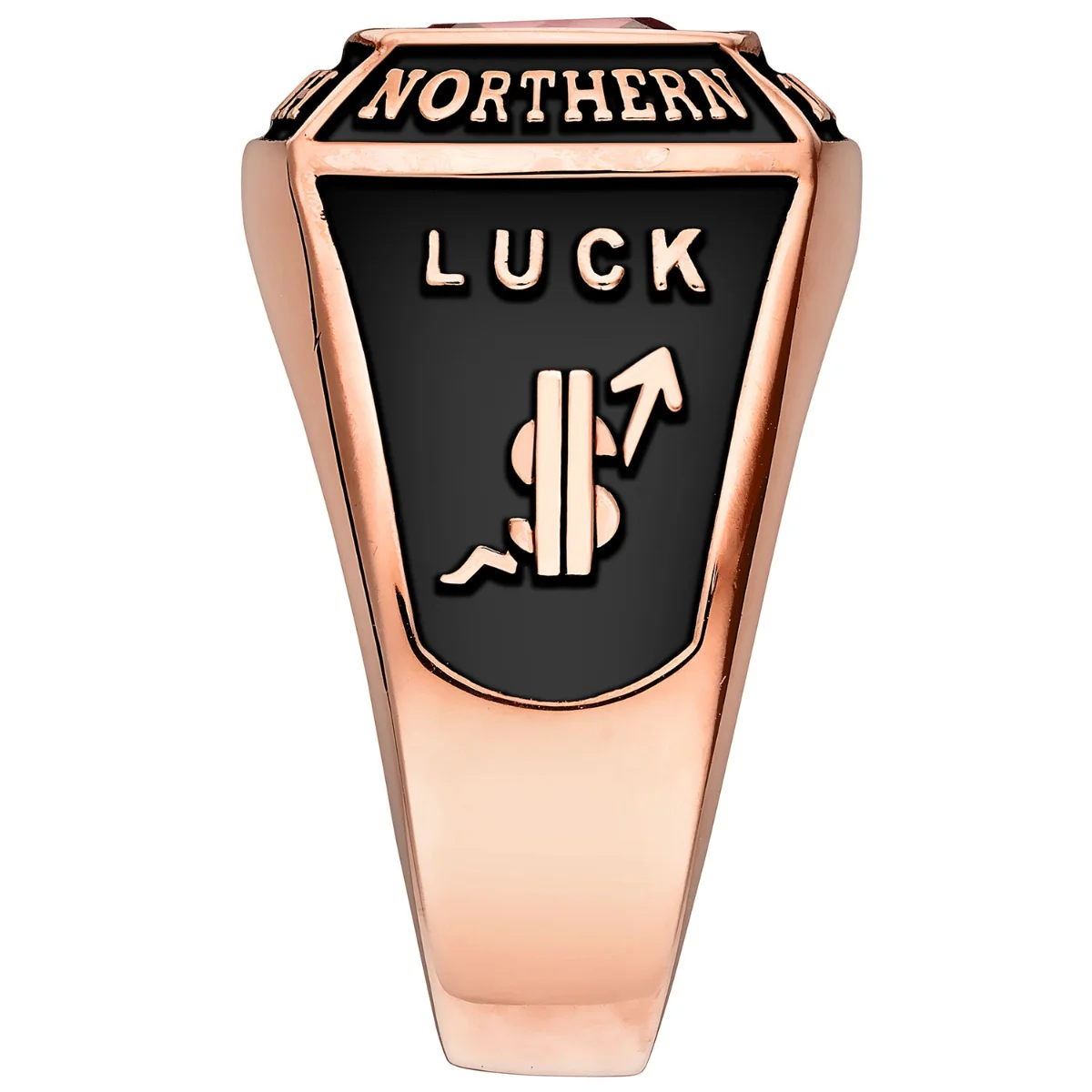 Men's 14K Rose Gold Plated Traditional Square Birthstone Class Ring - Image 3