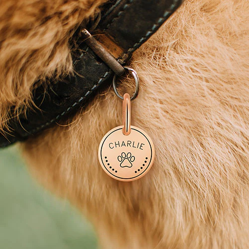 Stainless Steel Personalized Engraved Disc with Paw-Print Pet Tag - Image 10
