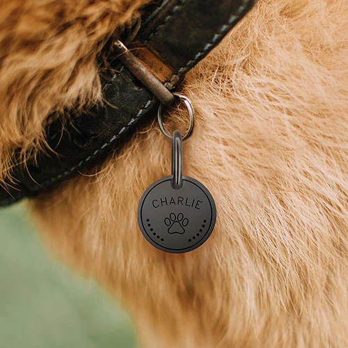 Stainless Steel Personalized Engraved Disc with Paw-Print Pet Tag - Image 12