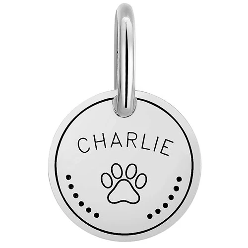 Stainless Steel Personalized Engraved Disc with Paw-Print Pet Tag - Image 3