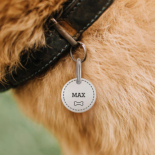 Stainless Steel Personalized Engraved Disc with Paw-Print Pet Tag - Image 6