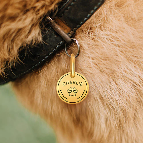 Stainless Steel Personalized Engraved Disc with Paw-Print Pet Tag - Image 8