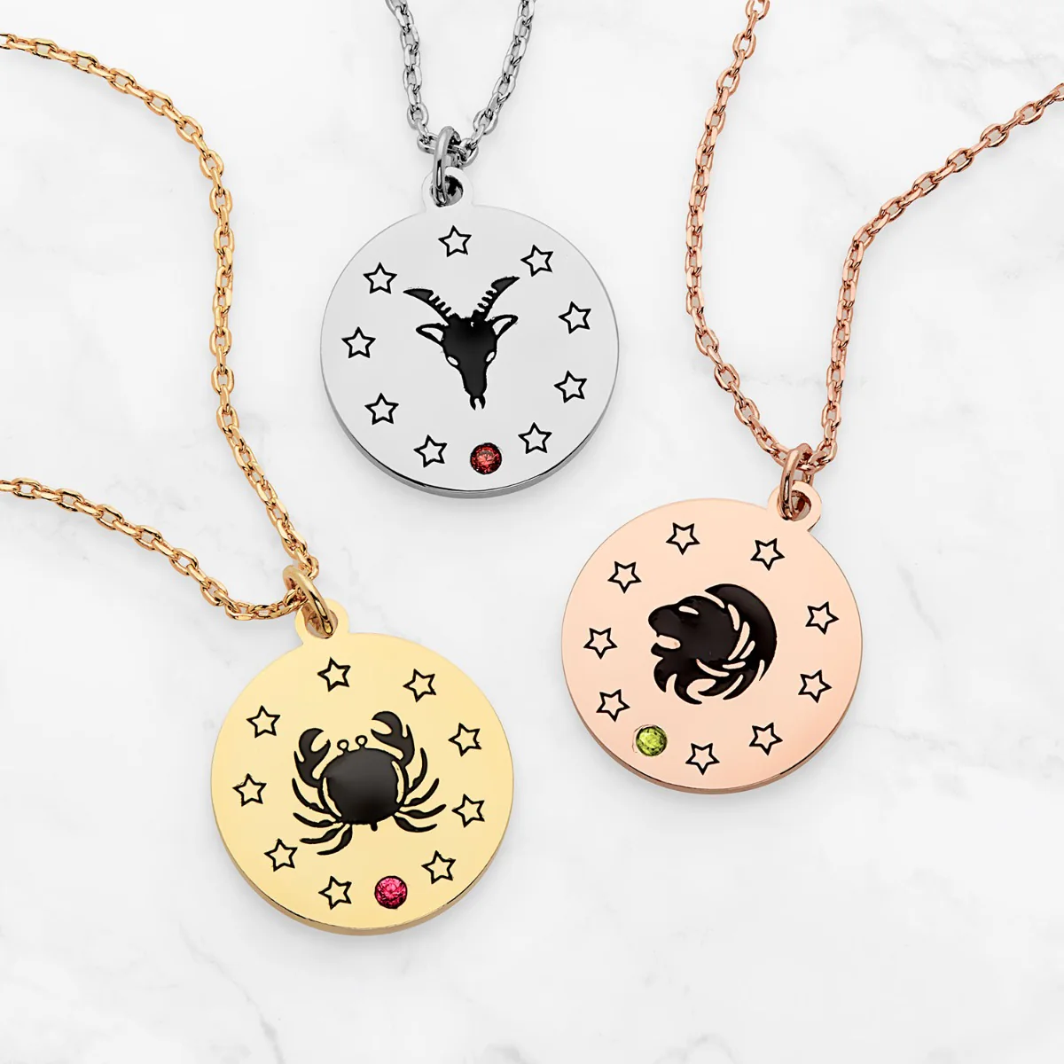 Zodiac Animal and Birthstone Disc Necklace