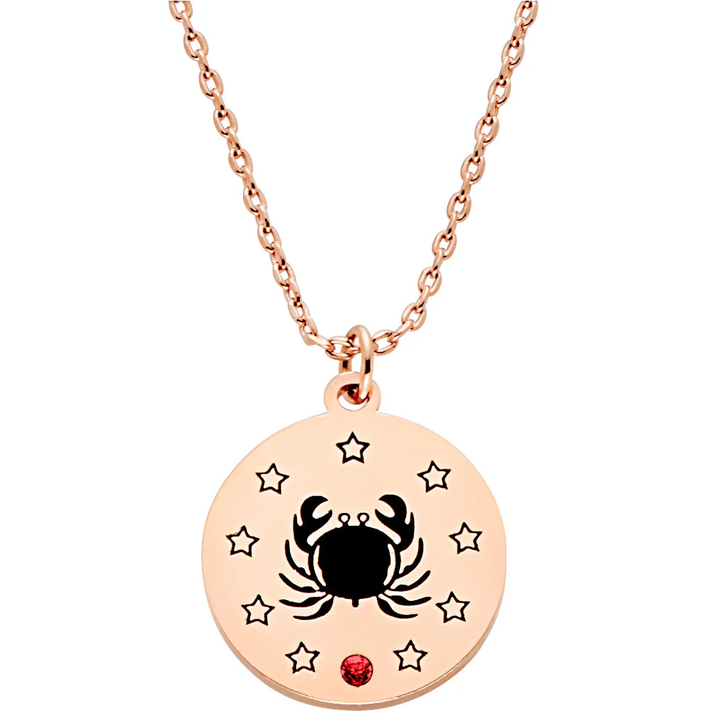 Zodiac Animal and Birthstone Disc Necklace - Image 6